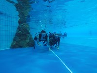 GOPR0536.jpg